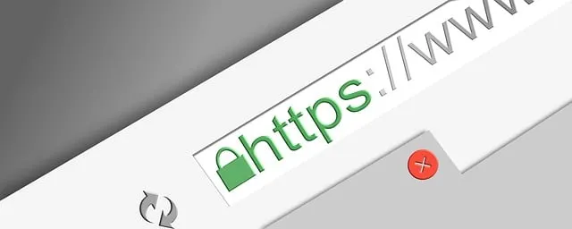 Informacion sobre la URL